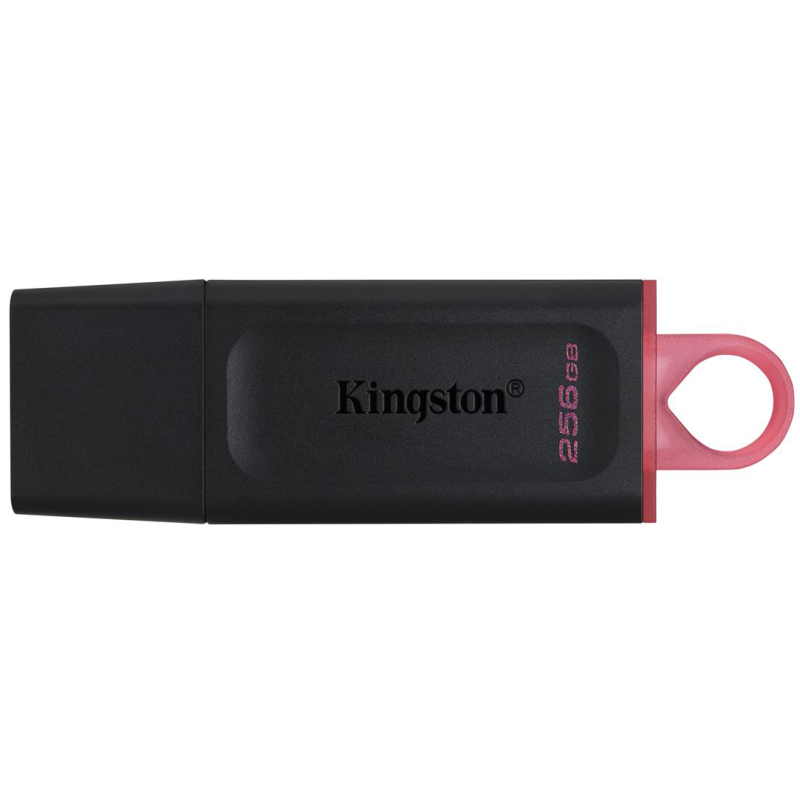 USB Flash drive Kingston DTX 256GB USB 3.2 Gen1