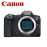 CANON Mirrorless camera EOS R7 Body 5137C041